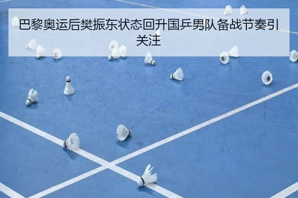 巴黎奥运后樊振东状态回升国乒男队备战节奏引关注